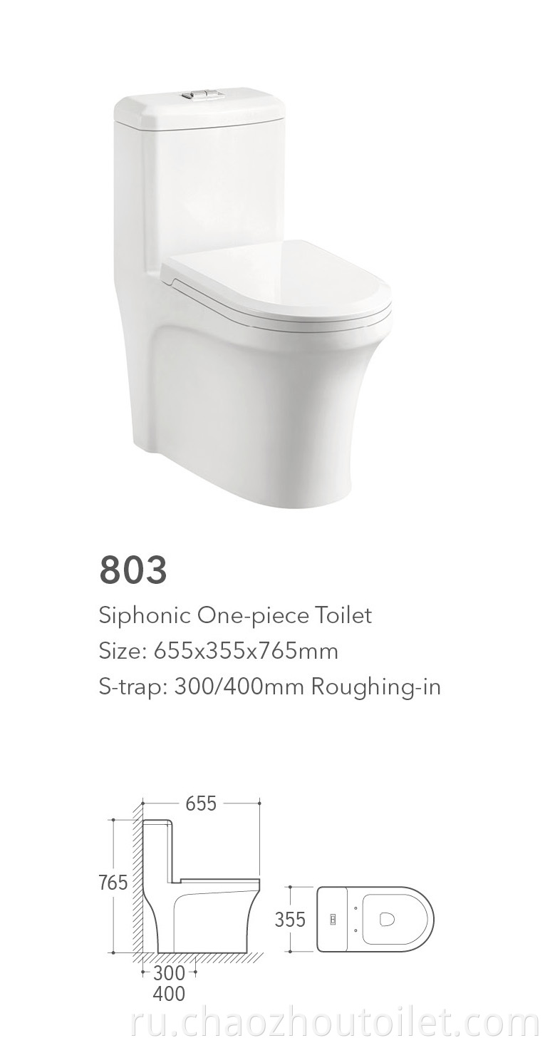 803 One Piece Toilet